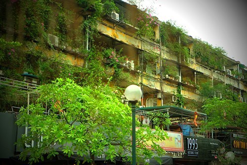 Mười năm khóc ròng vì mua ôm căn hộ tập thể cũ 3,5 tỷ-1