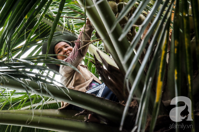 Nụ cười giòn tan của bà ngoại 12, kể chuyện mang bầu 6 tháng vẫn leo trên ngọn dừa, cất được nhà trăm triệu cho chồng-4