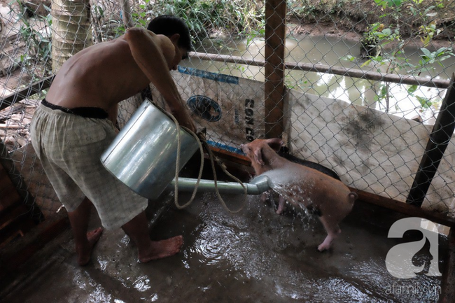 Nụ cười giòn tan của bà ngoại 12, kể chuyện mang bầu 6 tháng vẫn leo trên ngọn dừa, cất được nhà trăm triệu cho chồng-5