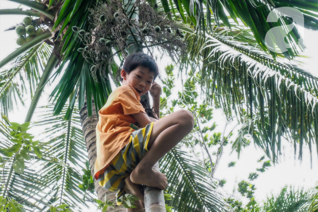 Nụ cười giòn tan của bà ngoại 12, kể chuyện mang bầu 6 tháng vẫn leo trên ngọn dừa, cất được nhà trăm triệu cho chồng-10