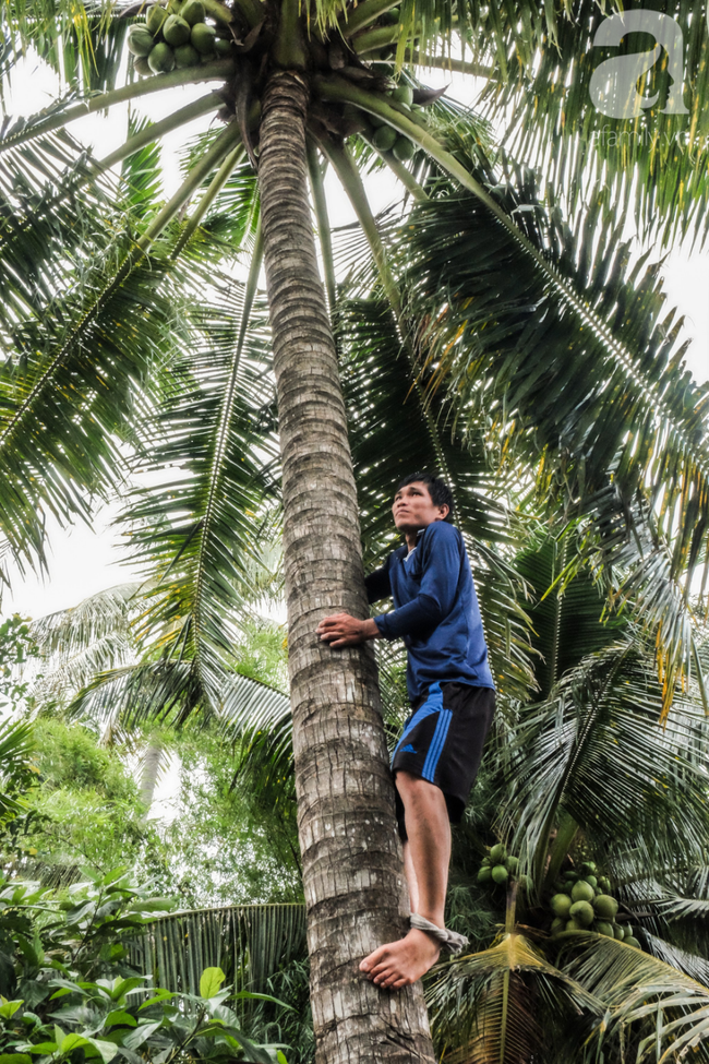 Nụ cười giòn tan của bà ngoại 12, kể chuyện mang bầu 6 tháng vẫn leo trên ngọn dừa, cất được nhà trăm triệu cho chồng-12