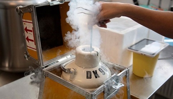 Gửi tinh trùng giá bằng 2 cốc trà đá, ngân hàng tinh trùng vẫn kêu cứu” vì cạn vốn-1