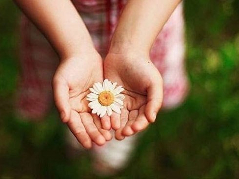 Top những con giáp sống độ lượng giàu lòng thương người, 'vui với niềm vui của thiên hạ'