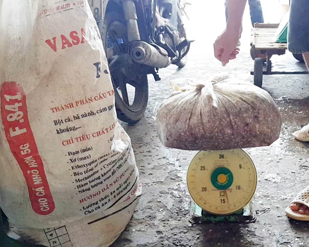 Thương lái ráo riết lùng mua vảy cá ở miền Tây để làm gì?-6