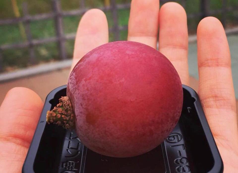 Chùm nho 250 triệu đồng, dân giàu Việt mua 1 quả về ăn thử-3