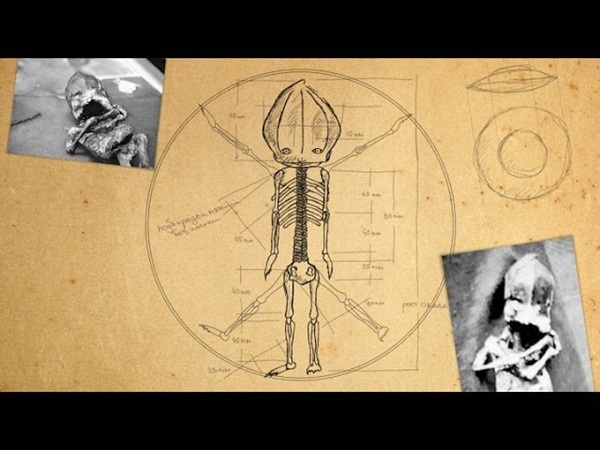 Hé lộ thân phận thực sự về sinh vật lạ nghi là em bé ngoài hành tinh” mang lời nguyền chết chóc từng gây rúng động cách đây 23 năm-4
