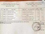 Thí sinh làm bài thi trên xe lăn đạt điểm 10 môn Tiếng Anh thi THPT quốc gia-1