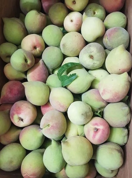 Hãy cẩn trọng khi mua hoa quả có những dấu hiệu này-1