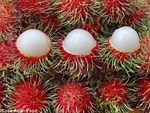 Điểm mặt những loại trái cây không hạt đang gây sốt trên thị trường-8