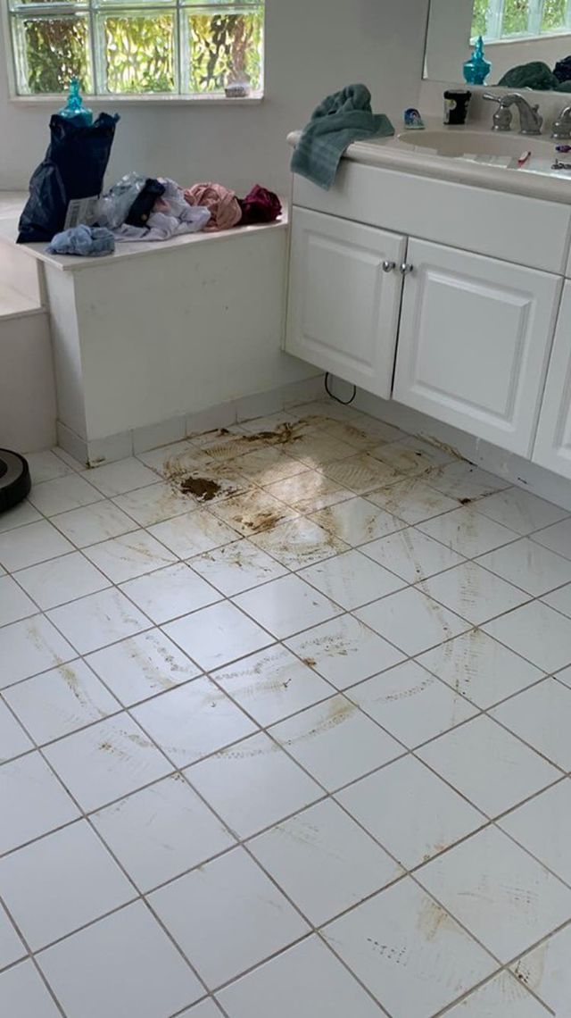 Sự cố cười ra nước mắt” khi sử dụng robot lau nhà tự động-1