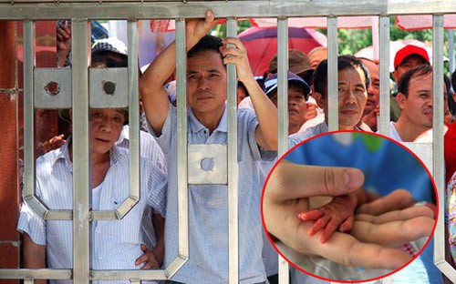 Câu chuyện về người mẹ là giáo viên xuất sắc, xuất bản sách bán chạy nhưng thất bại trong cách dạy con-1