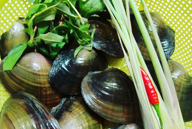 Những người đại kỵ với trai, hến, đừng ăn kẻo hối không kịp-1