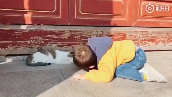 Nằm rạp xuống đường khi thấy chú mèo đang ngủ, cậu bé còn khiến ai nấy phải phì cười vì hành động sau đó-1