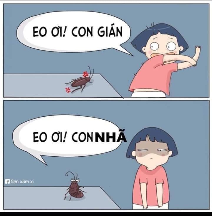 Thanh xuân như ly trà của Dương Tomboyloichoi vừa thành hot trend, dân mạng đã kịp chế 1001 phiên bản cực hài-8