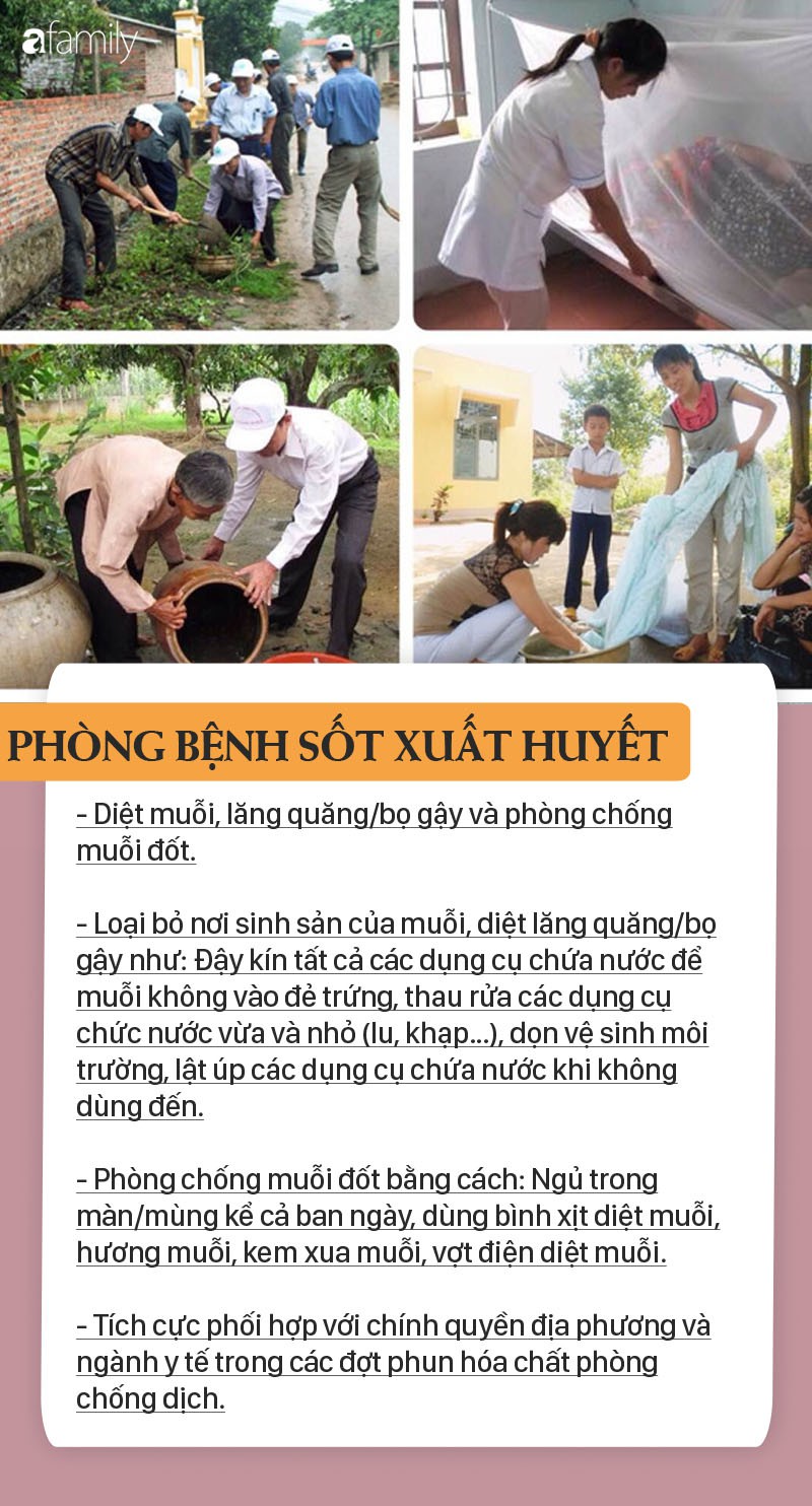 Việc cần làm để phòng bệnh sốt xuất huyết khi hàng nghìn ổ dịch bùng phát ở miền Nam, cả nước có 6 trường hợp tử vong-4