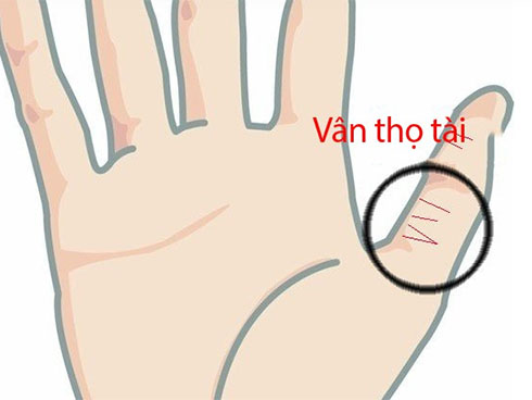 Tháng 8: 3 con giáp cẩn trọng sao Hung Tinh chiếu mệnh phòng tai nạn, đau ốm mất cắp tiền bạc-4