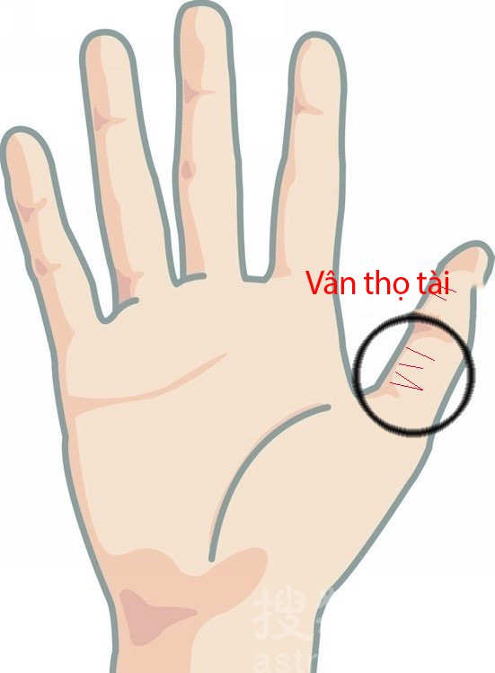 Phụ nữ sở hữu tướng tay này, trời sinh định sẵn có số hưởng, cuộc sống trung vận phất lên như diều gặp gió, hậu vận giàu có hạnh phúc-1