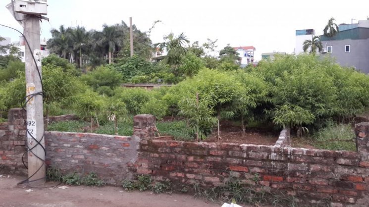 Mua đất xen kẹt Hà Nội, trượt cú thắng lớn 2 tỷ, ôm nợ hơn 10 năm-1