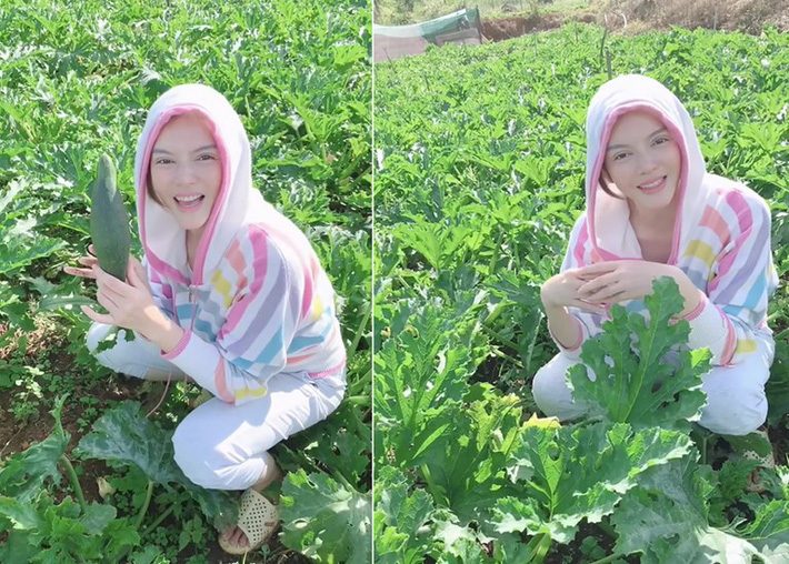 Lý Nhã Kỳ tái xuất với áo khoác gắn hàng triệu viên đá quý, khoe bra táo bạo sau thời gian ở ẩn” trồng rau nuôi gà-8