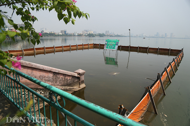 Nước hồ Tây chuyển màu trong vắt hé lộ nhiều điều bất ngờ dưới đáy-1