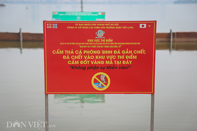 Nước hồ Tây chuyển màu trong vắt hé lộ nhiều điều bất ngờ dưới đáy-11