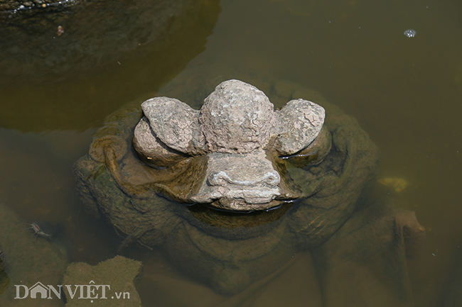 Nước hồ Tây chuyển màu trong vắt hé lộ nhiều điều bất ngờ dưới đáy-9