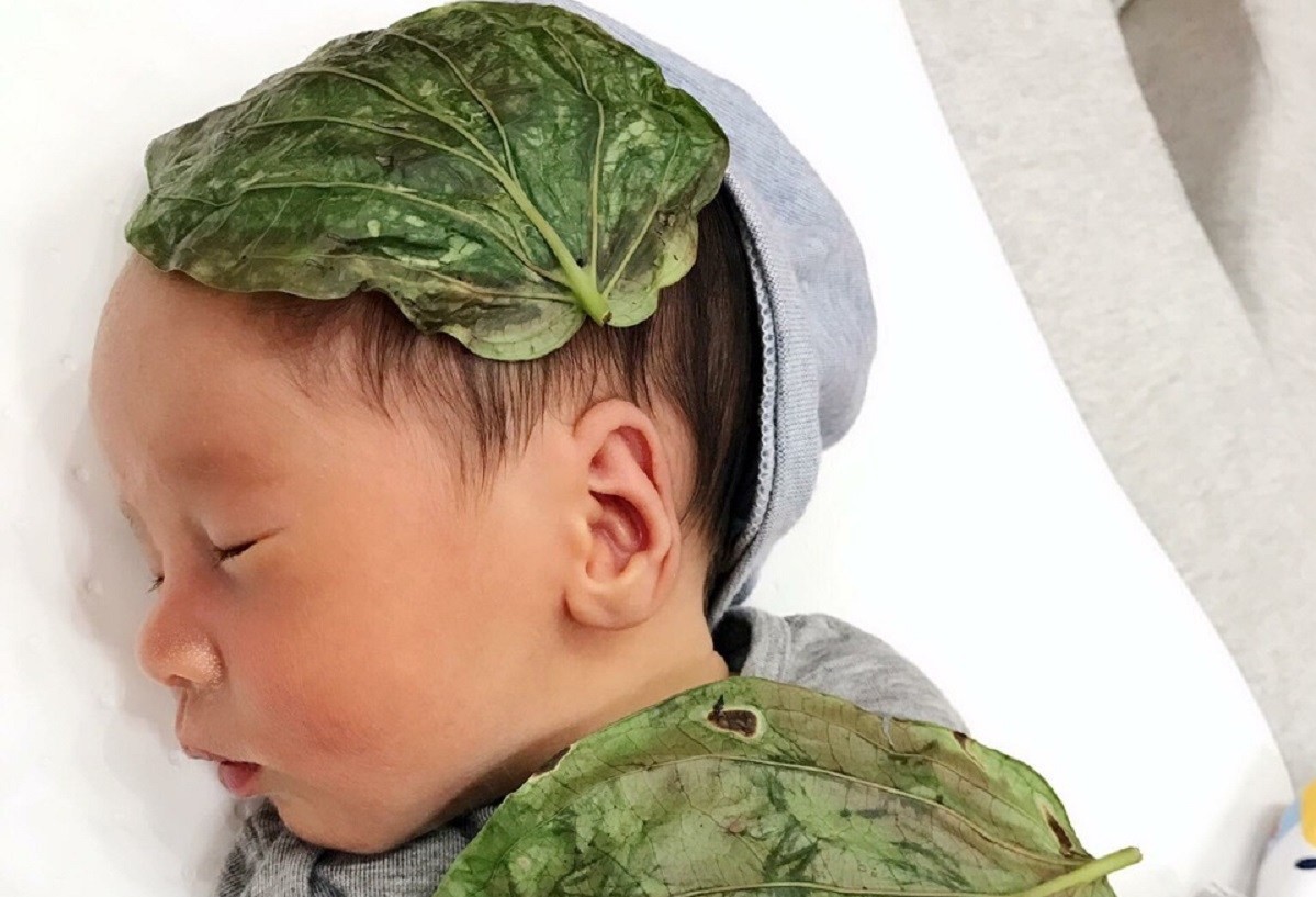 Từ trường hợp bé sơ sinh bị bỏng da do đắp lá trầu không, chuyên gia cảnh báo không tự ý dùng trầu không chữa bệnh-3