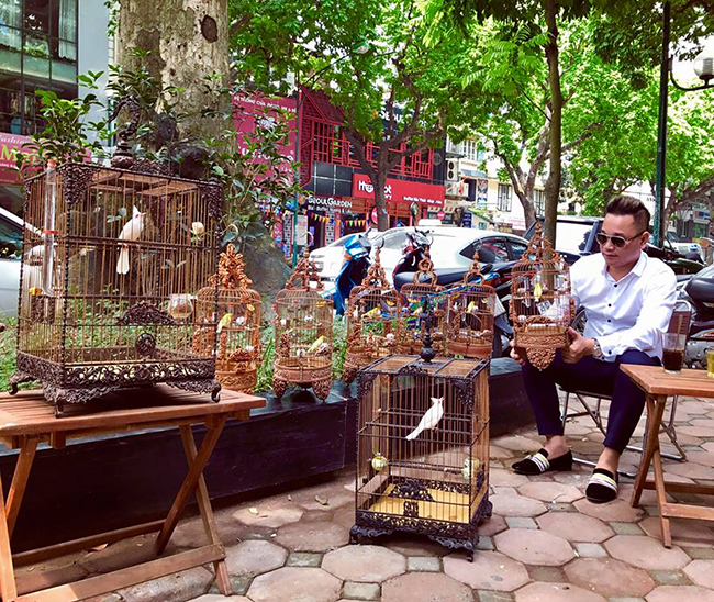 Lóa mắt với chim quý tộc giá tiền tỷ có bảo mẫu chăm sóc, ở phòng điều hòa cả ngày-2