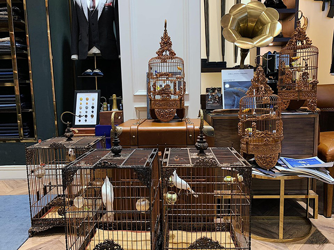 Lóa mắt với chim quý tộc giá tiền tỷ có bảo mẫu chăm sóc, ở phòng điều hòa cả ngày-3