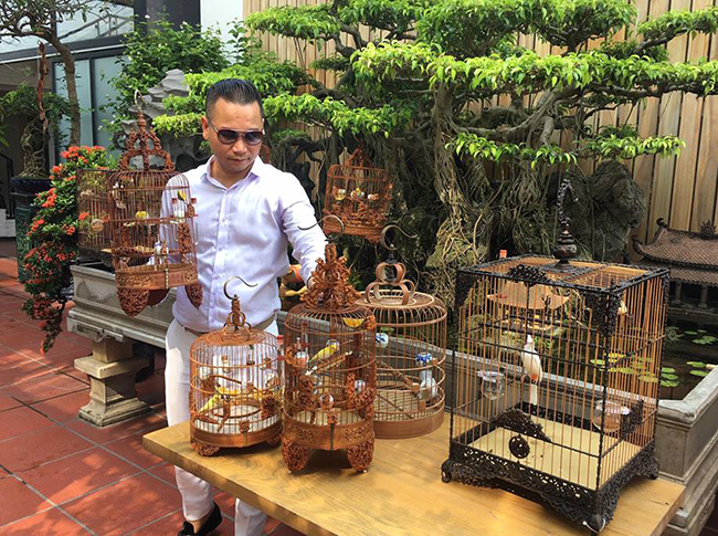 Lóa mắt với chim quý tộc giá tiền tỷ có bảo mẫu chăm sóc, ở phòng điều hòa cả ngày-5