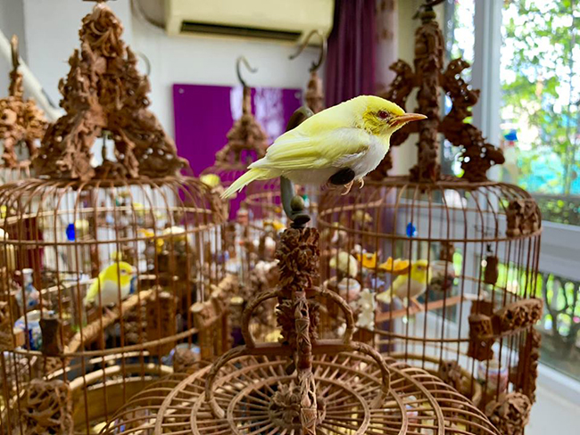 Lóa mắt với chim quý tộc giá tiền tỷ có bảo mẫu chăm sóc, ở phòng điều hòa cả ngày-7