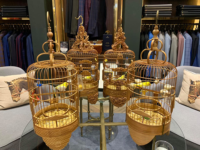 Lóa mắt với chim quý tộc giá tiền tỷ có bảo mẫu chăm sóc, ở phòng điều hòa cả ngày-4