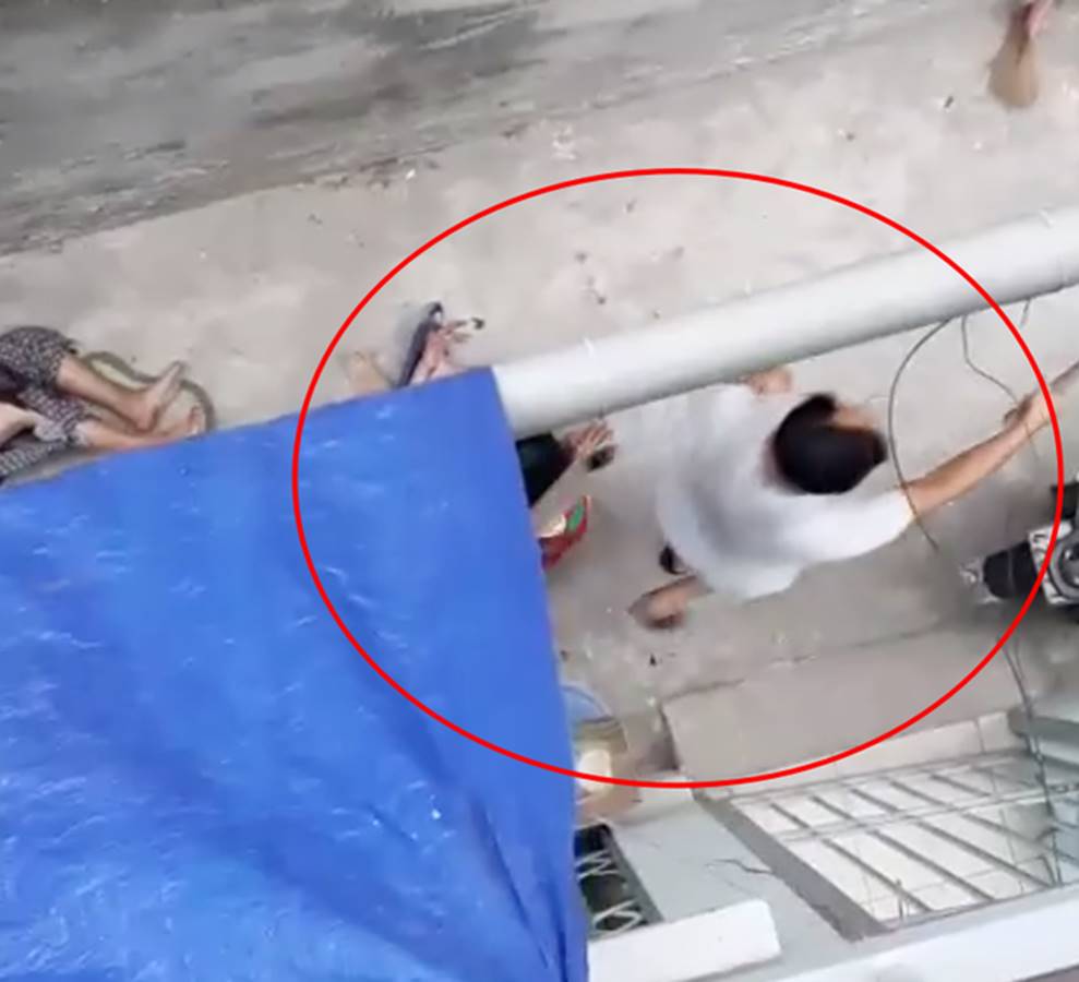 Kinh hoàng clip cụ bà ở Hà Nội bị chó cắn máu me đầm đìa, người phụ nữ cố giải cứu trong bất lực-1