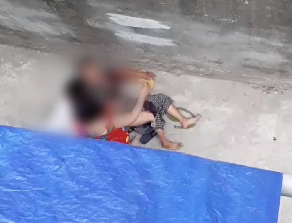 Kinh hoàng clip cụ bà ở Hà Nội bị chó cắn máu me đầm đìa, người phụ nữ cố giải cứu trong bất lực-2