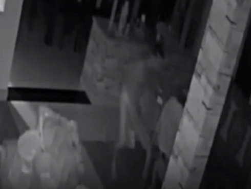 Clip: Đập kính ô tô trộm đồ, đạo chích bị gạch văng trúng mặt-1