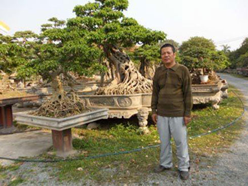 Dân tình phát sốt với dàn cây cảnh mini, trông xa ngỡ như đá quý-12