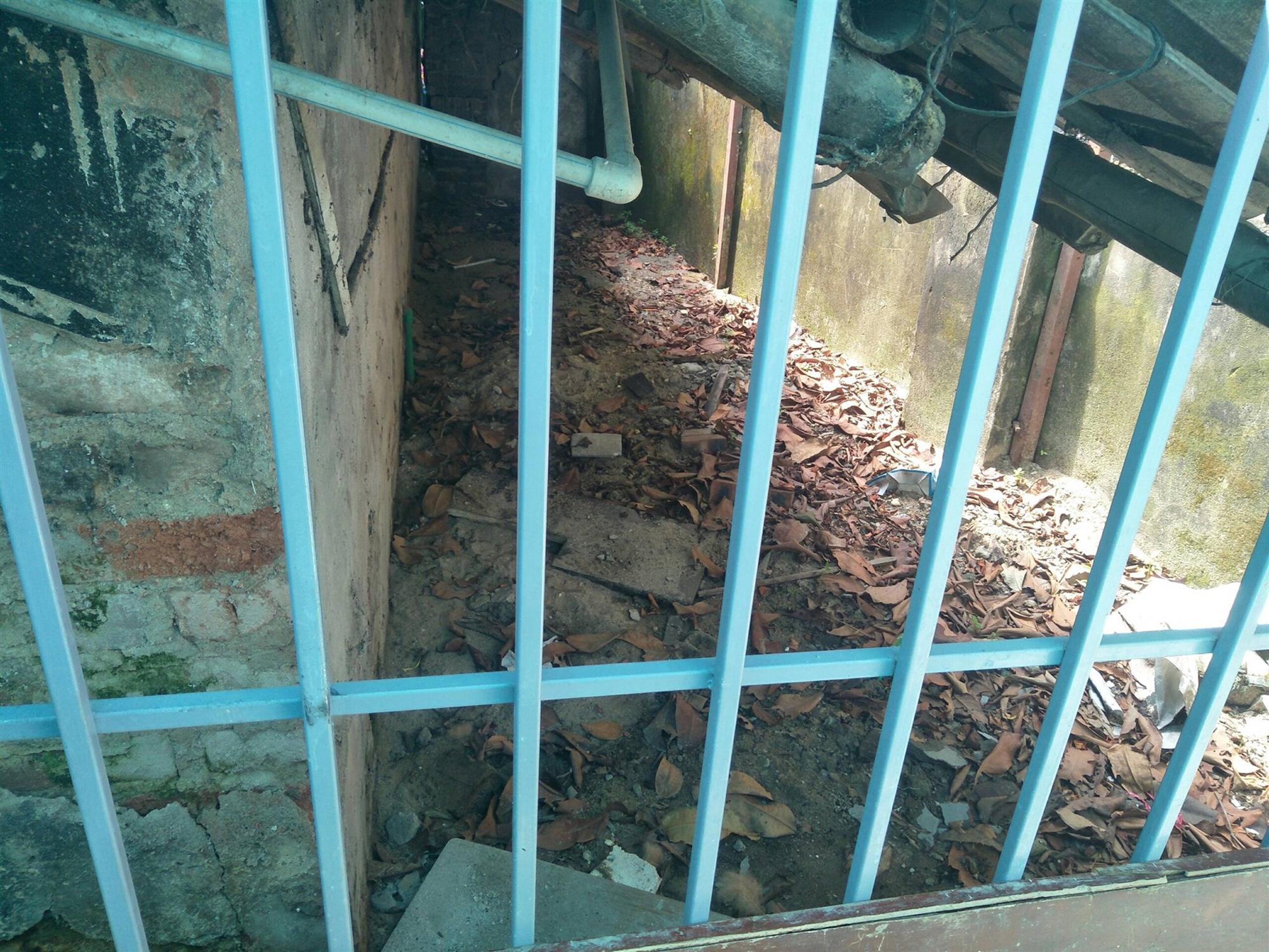 Vụ cụ bà bị chó cắn kinh hoàng ở Hà Nội: Chủ nhân của con chó là cháu ngoại của nạn nhân-5