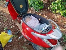 Hình ảnh em bé ngủ trong cốp xe máy khi theo bố mẹ đi rẫy, người khen dễ thương, người giật mình sợ nguy hiểm Hình ảnh em bé ngủ trong cốp xe máy khi theo bố mẹ đi rẫy, người khen dễ thương, người giật mình sợ nguy hiểm