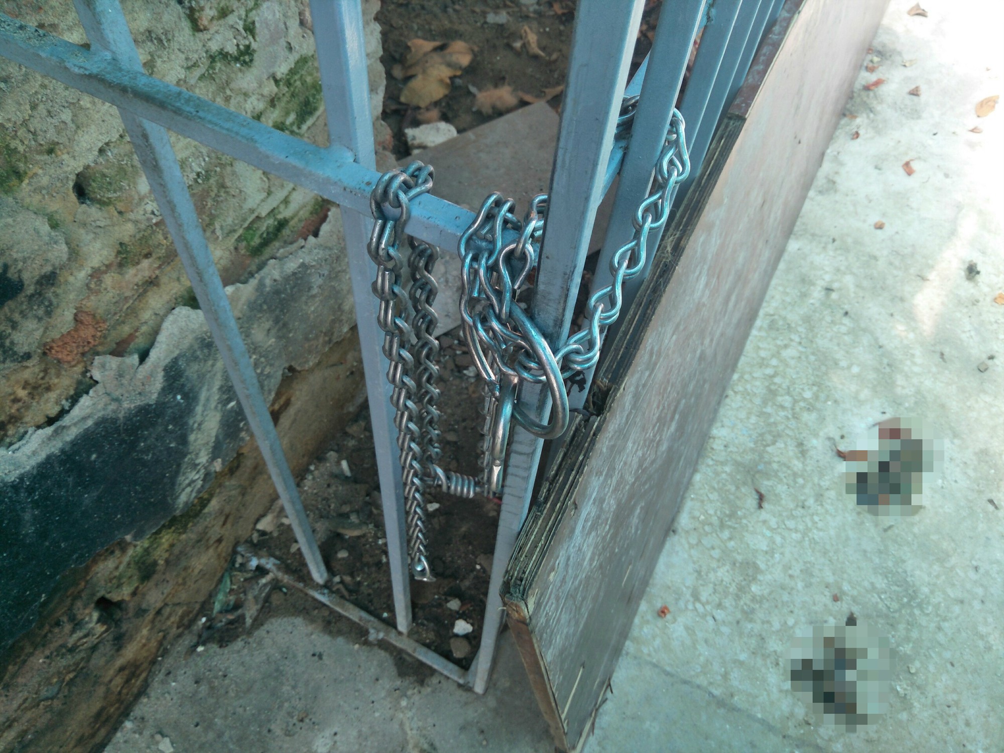 Cụ bà bị chó dữ tấn công ở Hà Nội phải khâu 30 mũi, kể lại giây phút ám ảnh khi đối mặt với tử thần-6