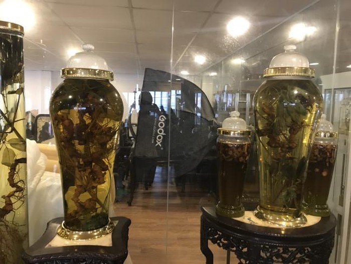 Đại gia Hà thành chi chục triệu thuê ô tô riêng chở một củ sâm quý-8