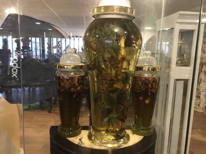 Đại gia Hà thành chi chục triệu thuê ô tô riêng chở một củ sâm quý-9