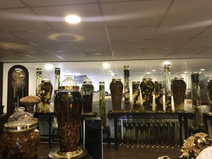 Đại gia Hà thành chi chục triệu thuê ô tô riêng chở một củ sâm quý-14