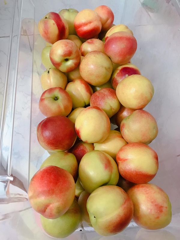 Bác sĩ cảnh báo nguy cơ có thể xảy ra đối với sức khỏe khi dùng trà đào nhà làm-1