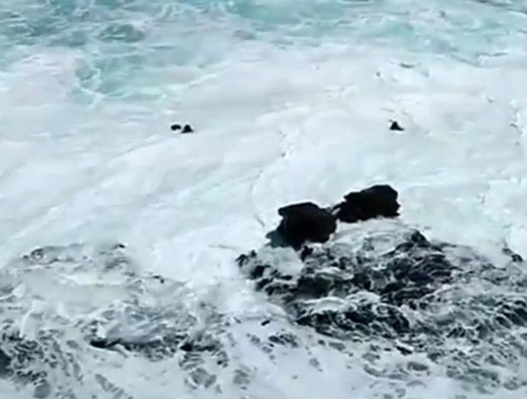 Khoảnh khắc thót tim: Bất chấp cảnh báo, cặp đôi vô tư chụp ảnh trên vách đá rồi bị sóng đánh sấp mặt, chới với dưới nước kêu cứu-3