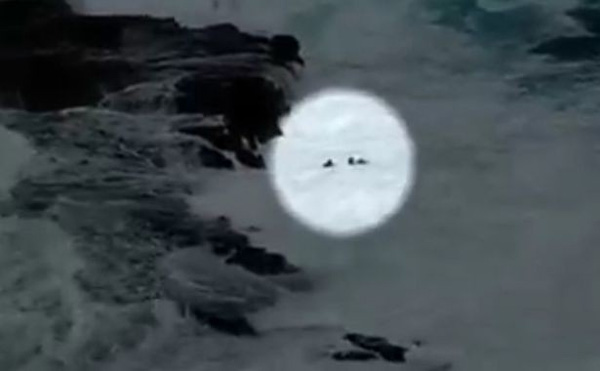 Khoảnh khắc thót tim: Bất chấp cảnh báo, cặp đôi vô tư chụp ảnh trên vách đá rồi bị sóng đánh sấp mặt, chới với dưới nước kêu cứu-2