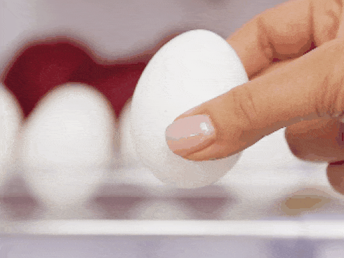 Không bảo quản tôm trực tiếp trong tủ lạnh, thêm một bước này tôm để tươi được cả năm-4