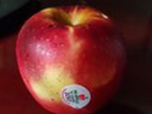 Bi hài những vụ hét giá trên trời dưới biển, chặt chém khách hàng-4