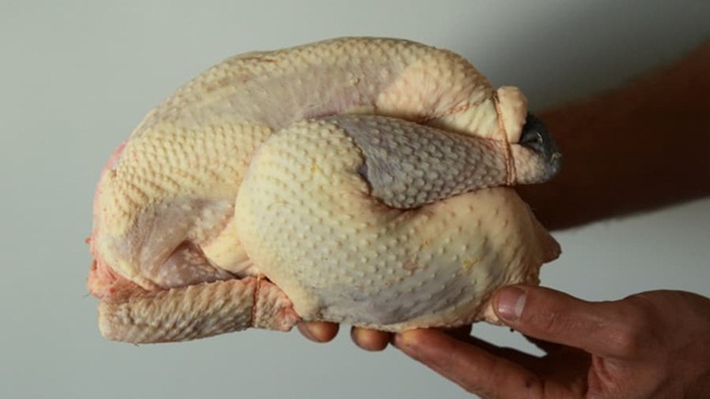 Gà hơn 1 triệu/kg, nuôi 4 tháng đút túi tiền tỷ-2