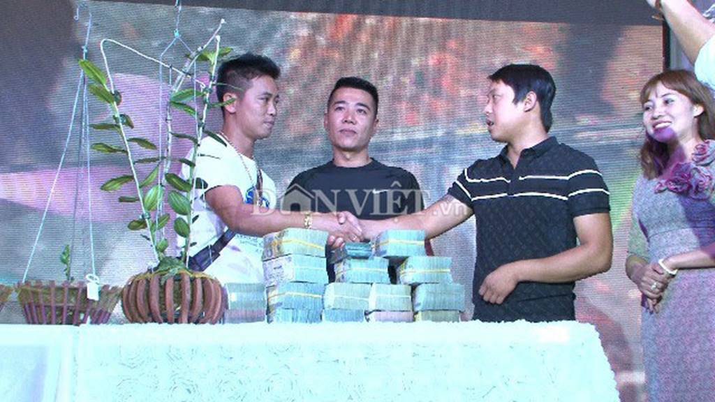 Hàng khủng Lâm Đồng: Chậu lan Giả hạc đột biến bán giá 5 tỷ đồng-1