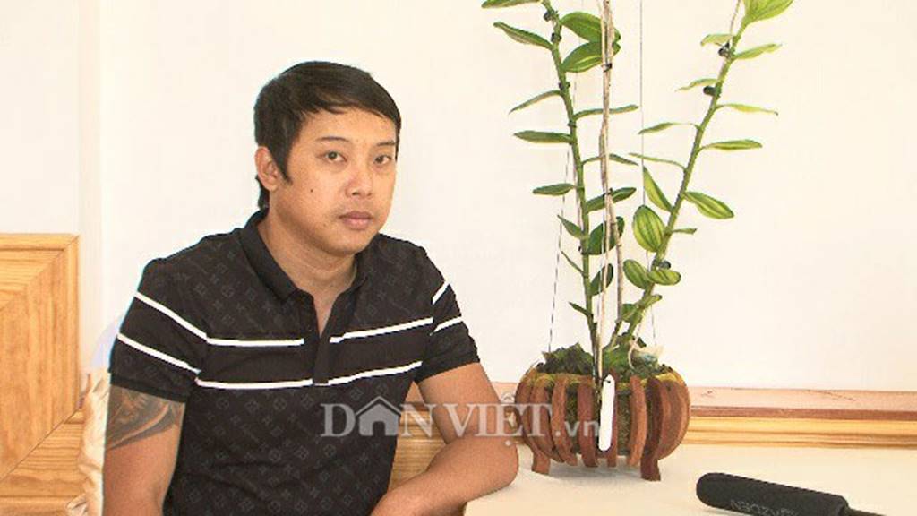 Hàng khủng Lâm Đồng: Chậu lan Giả hạc đột biến bán giá 5 tỷ đồng-2